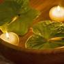Watercress & Aloe